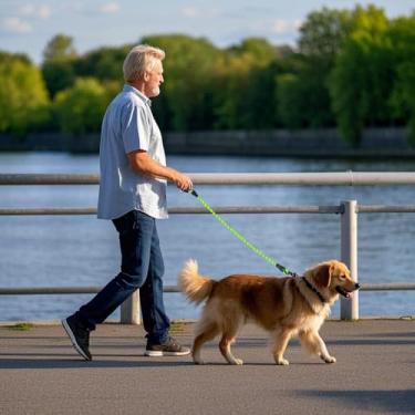 Imagem de Coleira de nylon para treinamento de cães, com alça de corda macia acolchoada e antiderrapante, guia forte de 1,8 m, coleira altamente refletiva para cachorros, cães médios e grandes (verde)
