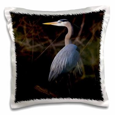 Imagem de Fronha 3D Garça Azul Rosa Galo - Willow Trees-Texas-Usa-Us44 Ldi0901-Larry Ditto Design, 40,64 cm x 40,64 cm