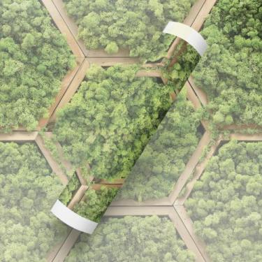 Imagem de Papel De Parede Adesivo Tema Planta Estilo Colmeia Hexágono - Deliquad