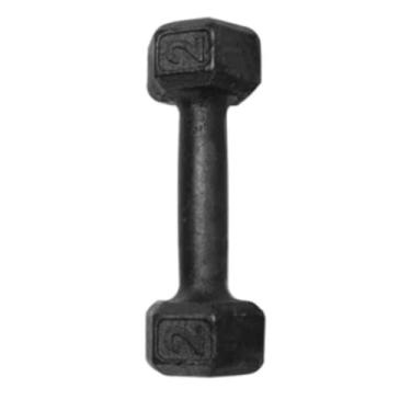 Imagem de Halter Sextavado Pintado 02kg Peso Academia Treino Fit