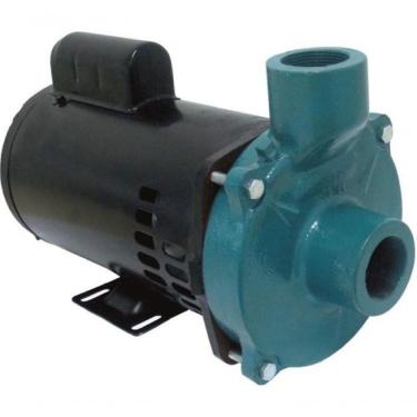Imagem de Motobomba Standard 1,5cv 60hz 220-380v Ecs-sa150t Eletroplas
