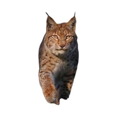 Imagem de Pintura Em Tela Sem Moldura Com Tema De Animal Lince Para Decoração De