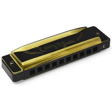 Imagem de Gaita Hering Diatonica Easy Blues C Dó Dourada Do4420c