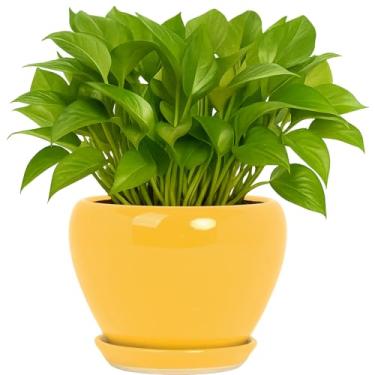 Imagem de Deep Dream Vasos de plantas de 15 cm - Vaso de cerâmica com orifício de drenagem e pires, vaso de flores redondo para suculentas internas e externas, plantas de cobra e cacto, amarelo