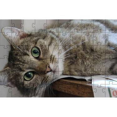 Imagem de Quebra-Cabeça Gato Manhoso De 60 Peças Educativo E Cognitivo