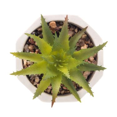 Imagem de Cachepot de Cimento com Suculenta Geométrico Branco 7,5cm x 9,5cm - Wolff