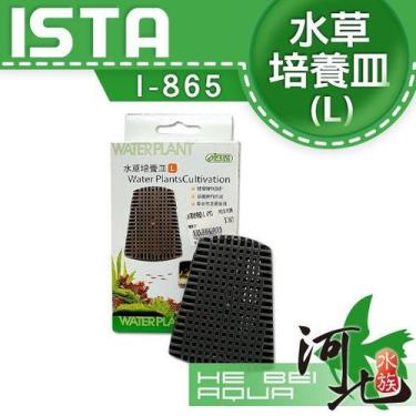 Imagem de Ista i-865 water plants cultivation tamanho grande caixa com 4un - un