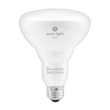 Imagem de GE Lâmpada LED para ambientes internos, espectro de luz equilibrado para sementes e verduras, 9 watts, base média (pacote com 1)