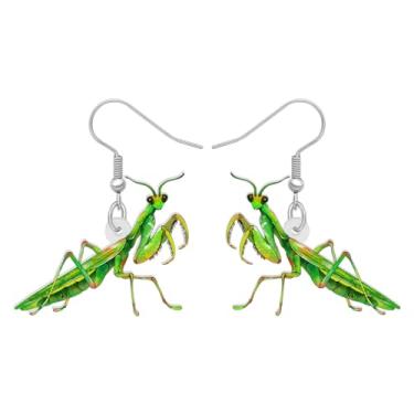 Imagem de DALANE Brincos de louva-a-deus de acrílico engraçados pendurados joias femininas novidade presentes decoração pingentes lembrancinhas de festa, Medium, Acrílico, Sem pedra preciosa