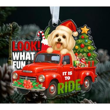 Imagem de ABNSDesigns Enfeite de Natal de cachorro maltês acrílico - Look What Fun It is to Ride - Red Truck Holiday Tree Decoration - Festive Hanging Keepsake