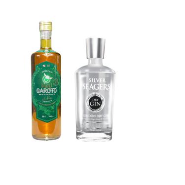 Imagem de Cachaça De Jambu Meu Garoto 700ml + Gin Silver Seagers 750ml