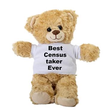 Imagem de Census Taker Teddy Bear, Gift Stuffed Animal, Plush Teddy Bear with Tee, Welcoming Baby Gift, Gift for Her, Gift for Newborn, Cute Birthday Christmas Basket Gift Idea
