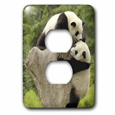 Imagem de 3dRose lsp_70213_6 Ursos panda gigantes, conservação de Wolong, tampa de tomada da China