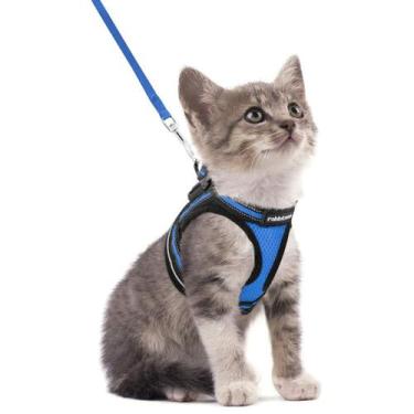 Imagem de Conjunto de arnês e coleira para gatos rabbitgoo para Walking Blue S