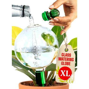 Imagem de Globos de irrigação de plantas de 473 ml para plantas de interior com inserção de plantador autoirrigável de metal - globo soprado à mão de vidro XL premium - irrigador automático de plantas interno