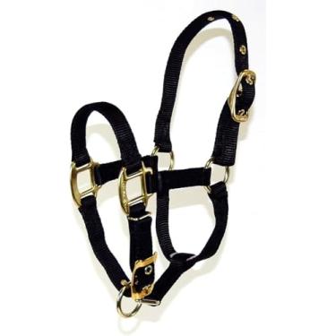 Imagem de Hamilton Halter ajustável de nylon de 1,9 cm para cavalo, pônei, preto