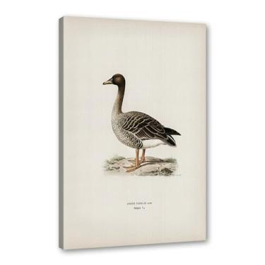 Imagem de Pôster de arte de parede vintage com estampa de pato rústica, pássaros, lago, natureza, retrô, pintura, quadros, decoração de quarto de fazenda (SKU12,27,9 x 35,6 cm = (28 x 35 cm), emoldurado (tela