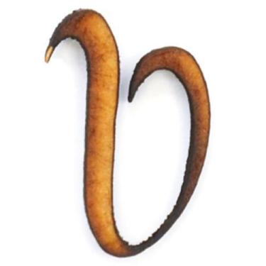 Imagem de MDF - Letras Manuscritas 3cm - Momento Divertido, LETRA V