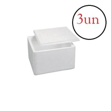 Imagem de Caixa Isopor Pequena 1Kg- 1,5 Litros Sorvete 16Cm Kit 3Un