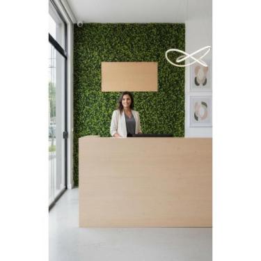 Imagem de Placa Grama Eucalipto Artificial 40x60 Jardim Vertical - Congratulatio