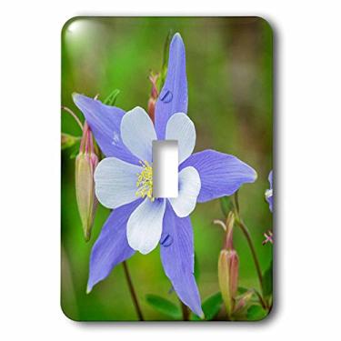 Imagem de 3dRose lsp_189735_1 EUA, Colorado, Floresta Nacional do Rio Grande, capa para interruptor de luz azul Columbine