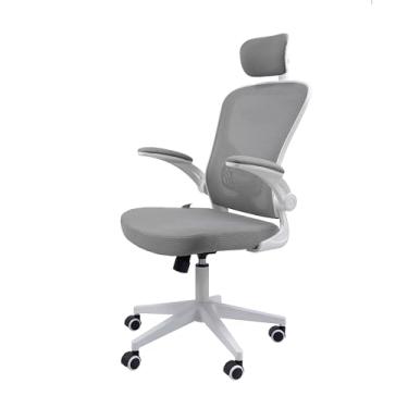 Imagem de Cadeira Ergonômica Eurynom, Giratória, para Escritório e Home Office, com Encosto Reclinável, Braços Pivotantes, Apoio de Cabeça, Apoio Lombar (Cinza)