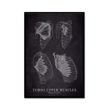 Imagem de Arte de anatomia humana, pintura em tela médica, vintage, esqueleto muscular, educação, pôster, impressão de imagem de parede, decoração de clínica hospitalar (SKU5,20,3 x 30,5 cm = (20 x 30 cm