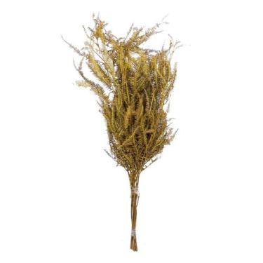 Imagem de Planta Seca Samambaia Tres Andares Amarelo 50cm - Pense Flores