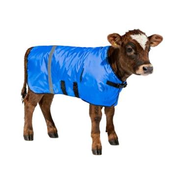 Imagem de SCGFPOE Casaco de bezerro – Cobertor de bezerro azul para o inverno, pacote com 1 | Jaqueta de panturrilha para bezerros, cabras, cães | Aquecedor de gado impermeável e ajustável