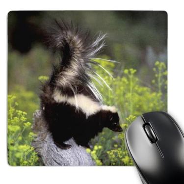 Imagem de 3dRose Mouse pad LLC 20 x 20 x 0,63 cm, América do Norte EUA Montana Skunk Wildlife Tom Vezo (mp_92145_1)