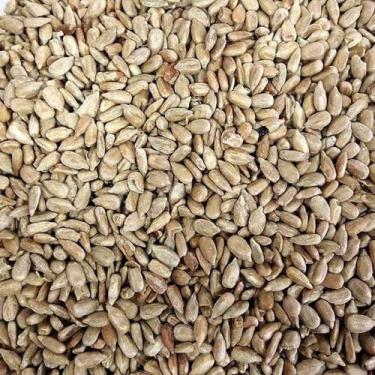 Imagem de Semente De Girassol Pepita Crua Sem Casca - 2kg - N4 NATURAL