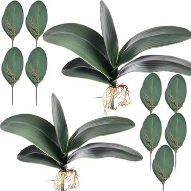 Imagem de HinyoCo Tamanho grande Phalaenopsis verde artificial folhas de orquídea verde verde planta jardim bonsai decoração (11)