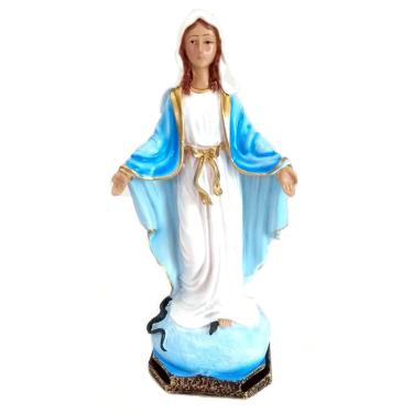 Imagem de Imagem Escultura Nossa Senhora das Graças 20 cm Resina