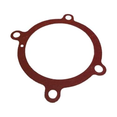 Imagem de Junta Da Bomba D'agua Motor Maxion S4 / S4t / S4t Plus