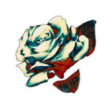 Imagem de Cd Grey Daze - Amends  Brazilian Exclusive 