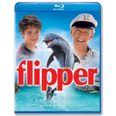 Imagem de Flipper