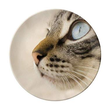 Imagem de Animal Blue Eye Gatinho Cinza Foto Prato Decorativo de Porcelana Salver Prato de Jantar