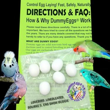 Imagem de 6 Lovebird (Agapornis) ovos de pássaro falsos de plástico para parar a postura de ovos! Realista não tóxico 7/20.3 cm x 3/10.2 cm (22 x 18,5 mm) DE Brand USA