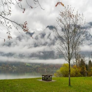 Imagem de Quadro Decorativo Estampa Outono Paisagem Árvore Despida Arte de Parede Tamanho 30x30cm