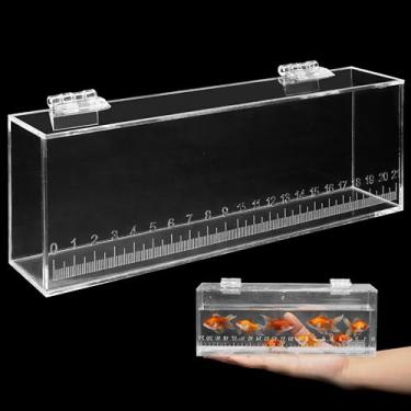 Imagem de Caixa de visualização de peixes com tampa e balança, mini aquário de pesca portátil de acrílico, caixas para incubação de criadores de peixes, estojo pequeno e seguro para ovos de reprodução, foto