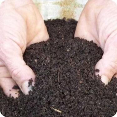 Imagem de 7KG Terra Preta Adubada Pronto para Plantio de Plantas, Pomares e Hort