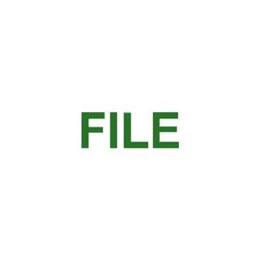 Imagem de Carimbo de autotintagem FILE Big - Verde