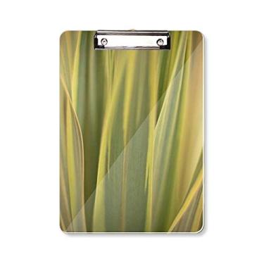Imagem de Plainas Folhas Natureza Foto Prancheta Pasta Bloco de Escrita Placa de Apoio A4