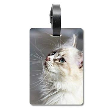 Imagem de White Pet Cat Animal Profile Cute Stare Mala Etiqueta de Bagagem Etiqueta de Bagagem Etiqueta de Bordado