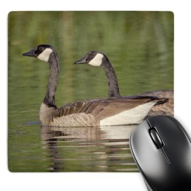Imagem de 3dRose Mouse pad LLC 20 x 20 x 0,63 cm, preservação de pássaros gansos do Canadá (mp_92250_1)