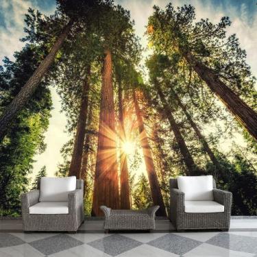 Imagem de Papel de Parede Paisagem Floresta Natureza Sol Sala Painel - 081pcp - 