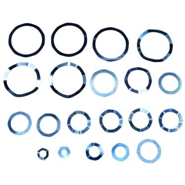 Imagem de Reparo De Placa Wayne W900 Schulz Msw60Fort Chiaperini Cj60Apw Pressure Psw60 Onix60 Mola E Válvula