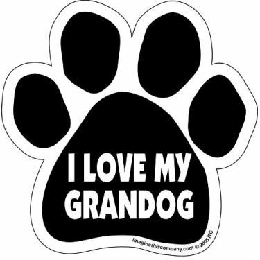 Imagem de Imagine This Ímã De Carro - Paw-I Love My Grandog- 14 Cm X 14 Cm