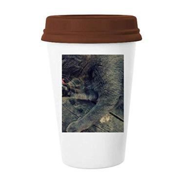 Imagem de Caneca de foto de gato cinza com estampa de animal, caneca de cerâmica para copo de café