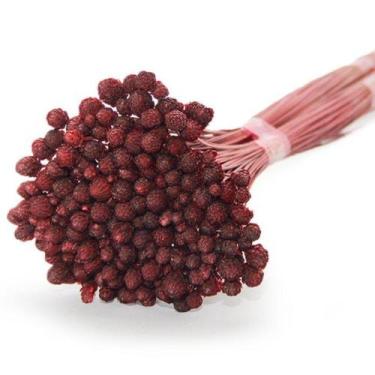 Imagem de Coroinha Desidratado para Decoração - holambra festa Buque Flor, Verme